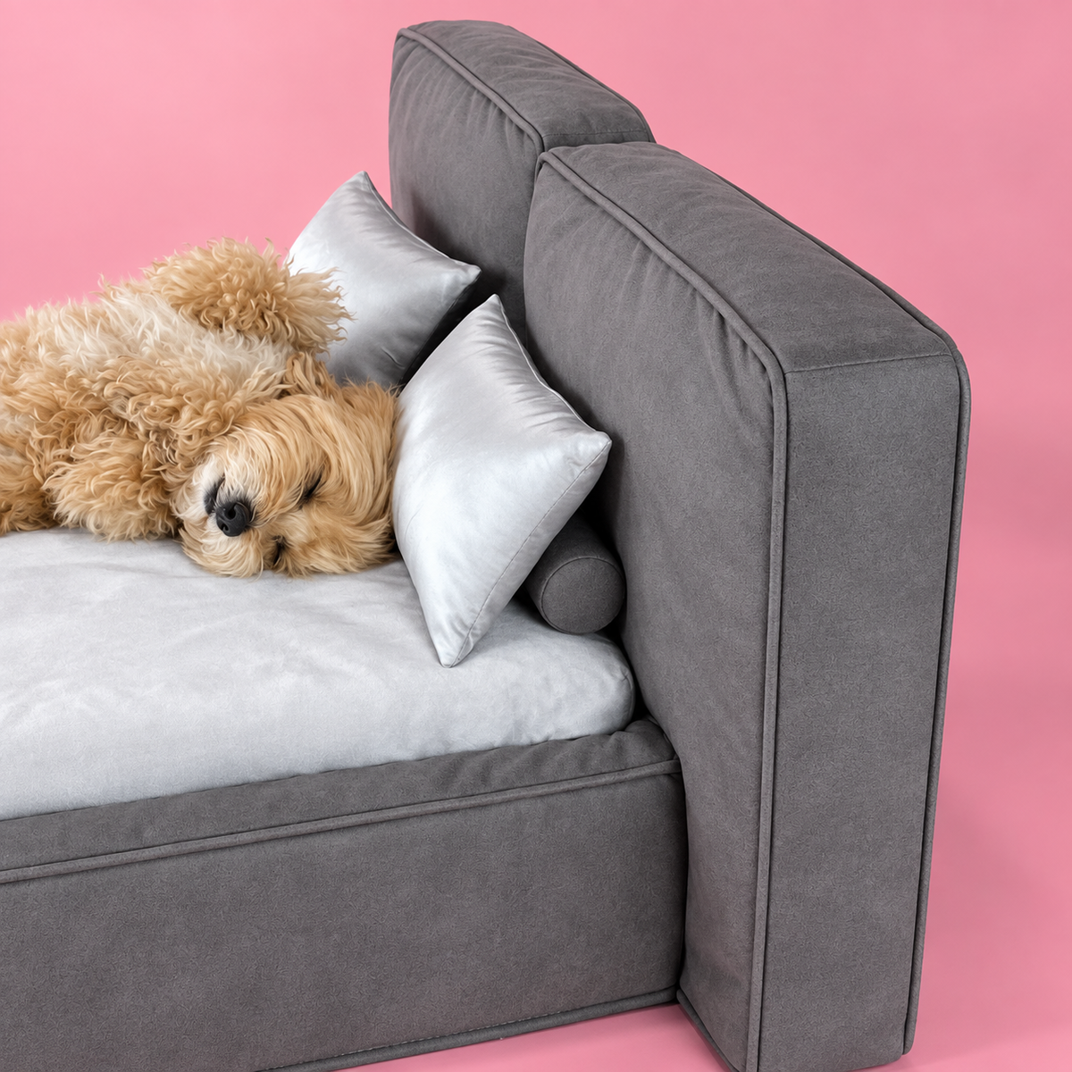 Luxury Pet Sofa Bed