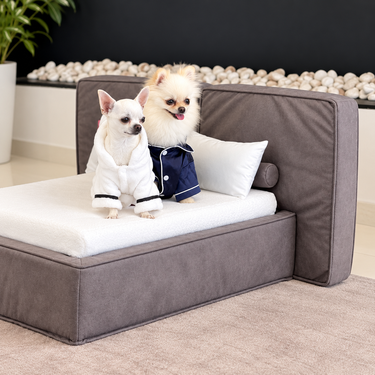 Luxury Pet Sofa Bed